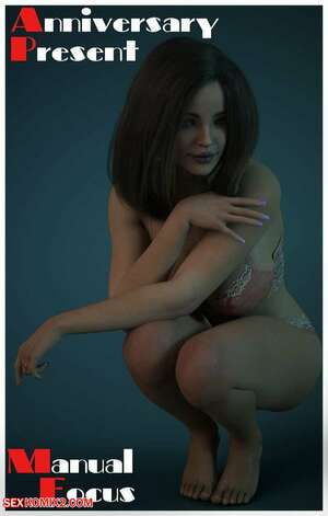 Porn comic Anniversary Present. Chapter 1. Manual Focus.