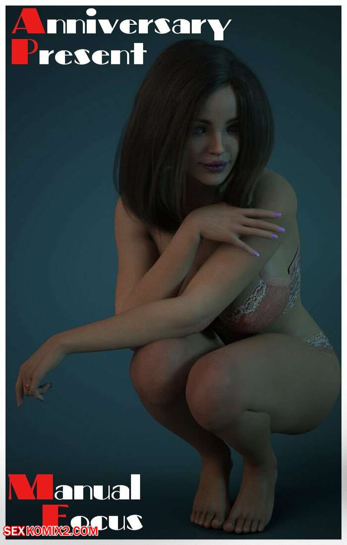 Porn comic Anniversary Present. Chapter 1. Manual Focus.