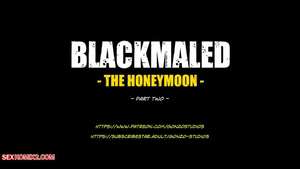 Porn comic Blackmaled. The Honeymoon. Chapter 2. Sexy3DComics