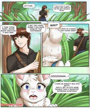 Porn comic Bunnies Wheel N Deal. Docsye