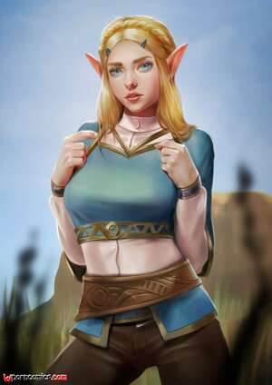 Porn comic Reward 13. Princess Zelda. The Legend Of Zelda. Firolian.