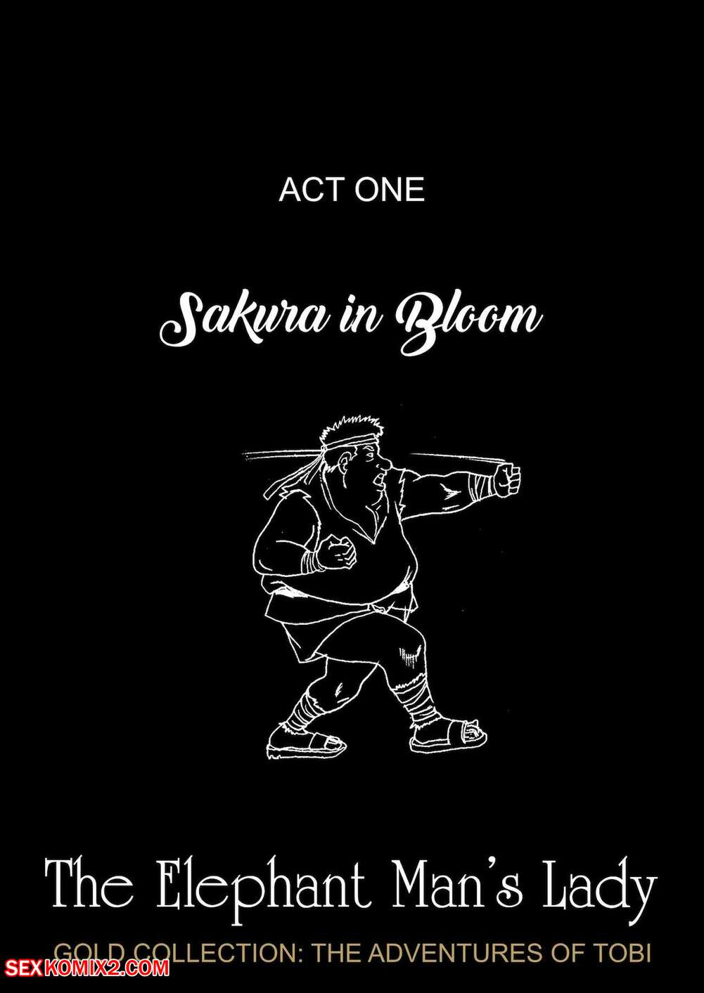 Porn comic The Elephant Mans Lady. Super Melons