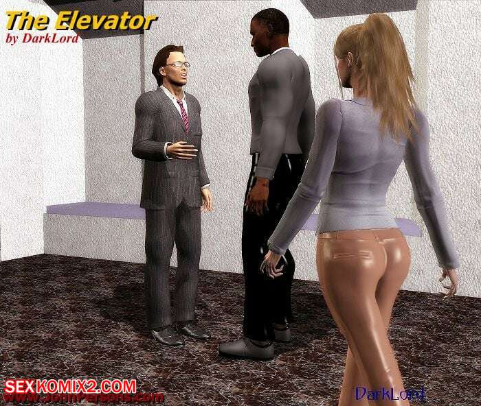 Porn comic The Elevator. Chapter 1. DarkLord.