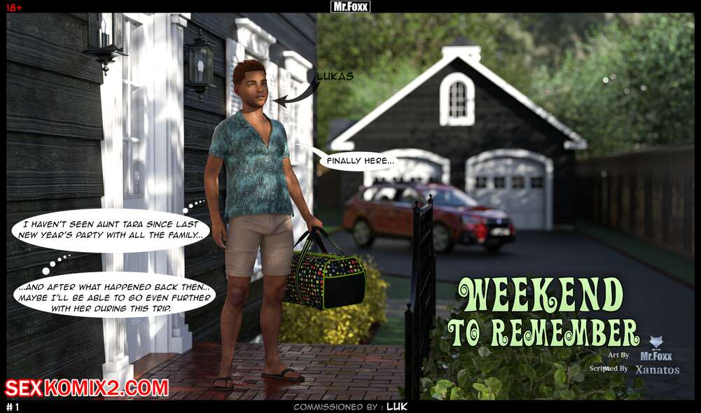 Porn comic Weekend to Remember. Mr. Foxx