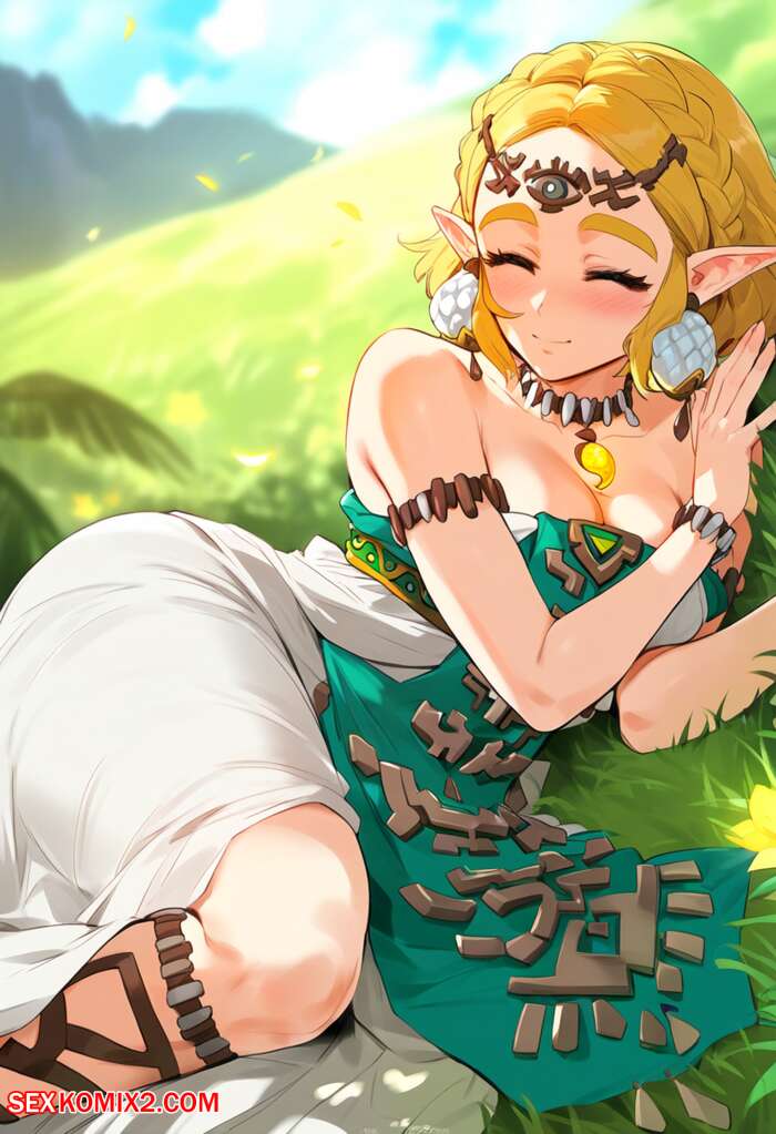 Porn comic Zelda Comic. RanTyp